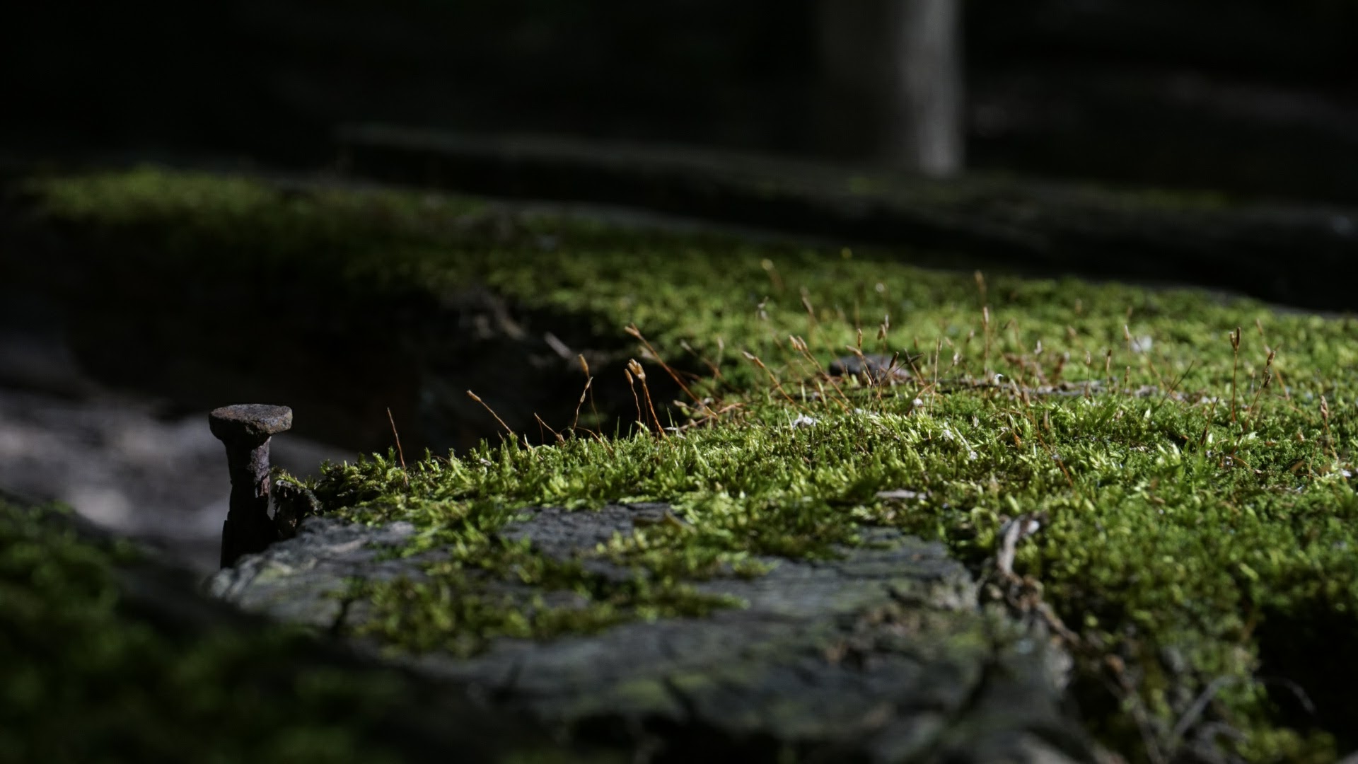 Landscape Perspective