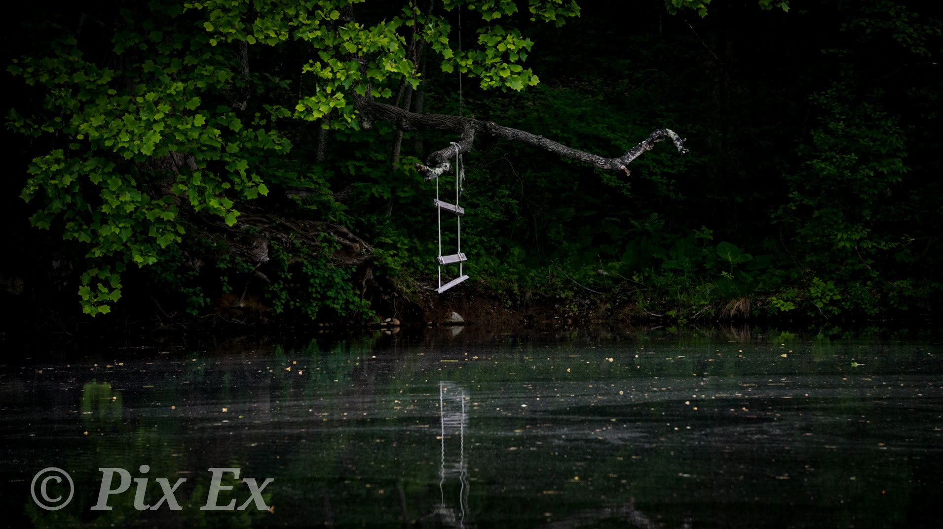 New England pond